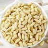 Shelled Pine Nuts, Pine Nuts, Pine Nut Kernels, Sea Pine Nuts Wholesale and Delivery