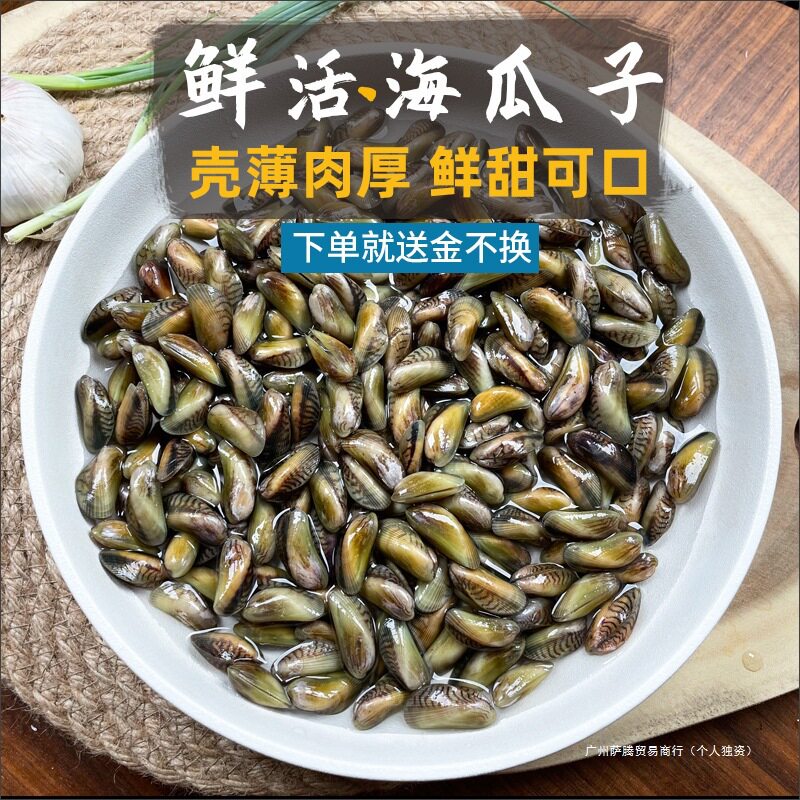Free Shipping on Seafood, Aquatic Products, Sea Melon Seeds, Fresh Shellfish on the Same Day, Sf Sea-Caught Thin-Shelled Snails, White-Shelled Snails, Sea-Free