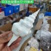 A Variety of Natural Long Spiral Snails, Long-Nosed Martin Snail Specimens, Aquarium Landscaping, Natural Shells and Conch Wholesale