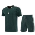 26-27 juventus dark green