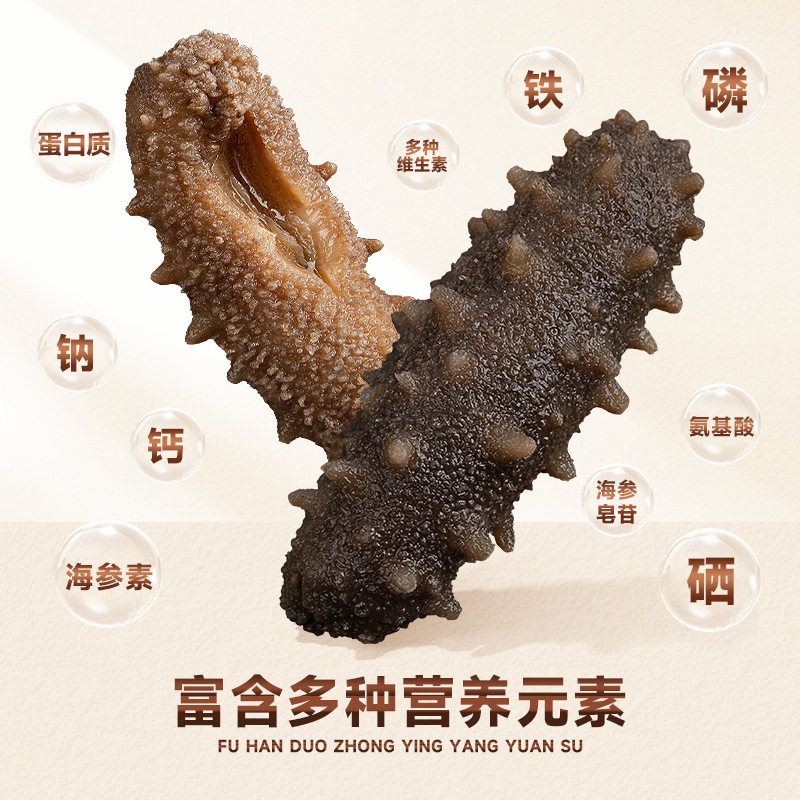 Ready-To-Eat Sea Cucumber 500g Soak-Free High-Quality Source Manufacturer Fresh Dalian Sea Cucumber Instant Sea Cucumber