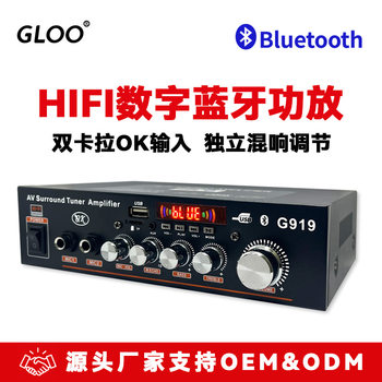 G9192025 New Digital Bluetooth Amplifier Tfu Disk Radio 12V220V Car and Home High-Power Mini