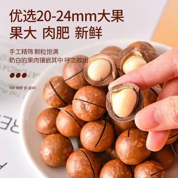 25-28mm Diameter Macadamia Nuts with Creamy Flavor, 250g Hand-Peeled Nuts, Leisure Snack Gift