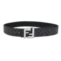 Black and Blue Belt + Silver Buckle