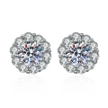 White Gold (1 karat)