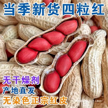 2024 New Red-Skinned Peanuts with Shells, Sun-Dried Raw Farm Seeds, Fresh Four-Skinned Red-Skinned Cooked Peanuts