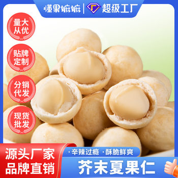 Customized Private Label Wasabi-Flavored Macadamia Nut Substitute Nut Snacks 500g Crispy Dried Nuts Salted Egg Yolk Flavor