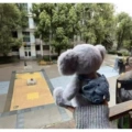 Backpack elephant