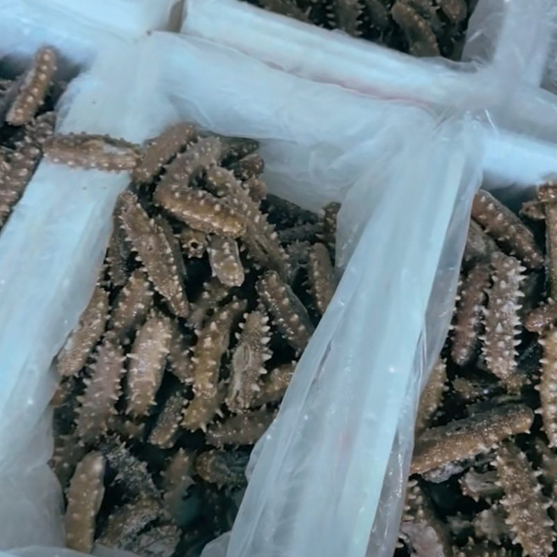 Manufacturer Supplies Changdao Ready-To-Eat Sea Cucumber, Frozen and Individually Packaged, Fresh and Chewy Sea Cucumber Wholesale and Customization
