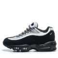 95 figure 2