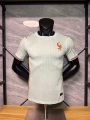 Correct version of star embroidery: player 26-27 france away game