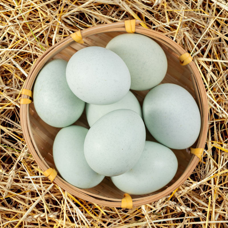 29 Pieces of Farm-Raised Free-Range Green-Shelled Fresh Eggs for Pregnant Women, 40g Edible Eggs from Mainland China
