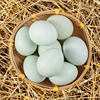 29 Pieces of Farm-Raised Free-Range Green-Shelled Fresh Eggs for Pregnant Women, 40g Edible Eggs from Mainland China
