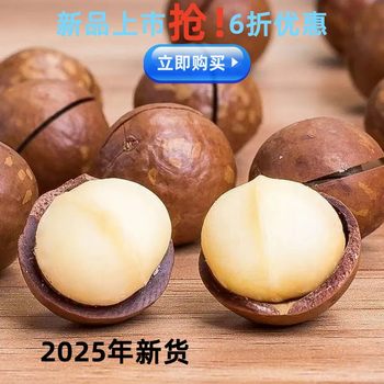 Macadamia Nuts New Arrival Creamy Large Particles New Arrival Roasted Nuts New Year Snacks Office Snacks
