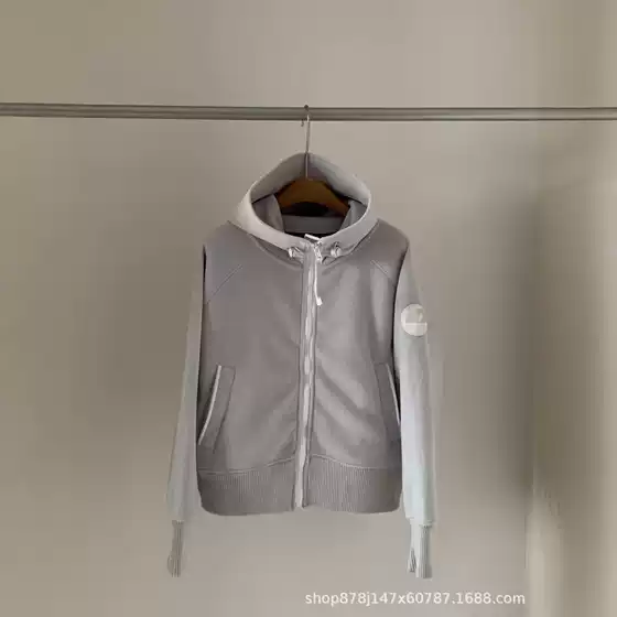 Big Goose Bomber Jacket Wool Fleece Double-Sided Thick Warm Zipper Hooded Sweatshirt Jacket down Jacket Autumn and Winter