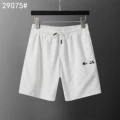 29075 white