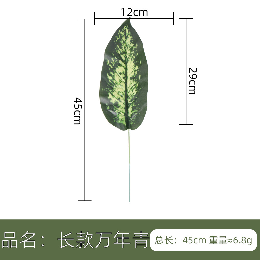 仿真人造植物叶子 单片绿叶春雨叶美人蕉 北欧家居风插花装饰配材