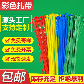 Factory direct color cable ties crafts lashing fixed cable tie nylon 6 red yellow blue green gold silver tie