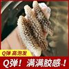Indonesian Wild Sea Cucumber Dried Goods Black Sea Cucumber Liaocheng Grade Bald Sea Cucumber Pure Light Dried Sea Cucumber for Pregnant Women