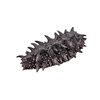 Wholesale Light Dried Sea Cucumber, Small Sea Cucumber, Dried Goods, Light Dried Sea Cucumber, Sea Cucumber, Non-Wild Dalian Sea Cucumber, Ready-To-Eat Sea Nourishing