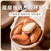 New Arrival Open-Ended Pine Nuts, Northeastern Pine Nuts, Hand-Peeled Specialty New Year Snacks, Gift Packs, Wholesale Roasted Nuts, Dried Fruits