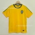 2010 brazil home game