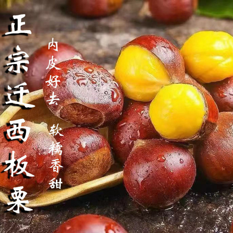 Authentic Qianxi Chestnuts, Fresh Shelled Oil Chestnuts, Selected Fresh Chestnut Kernels, Large and Plump Raw Chestnuts, Free Shipping