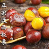 Authentic Qianxi Chestnuts, Fresh Shelled Oil Chestnuts, Selected Fresh Chestnut Kernels, Large and Plump Raw Chestnuts, Free Shipping