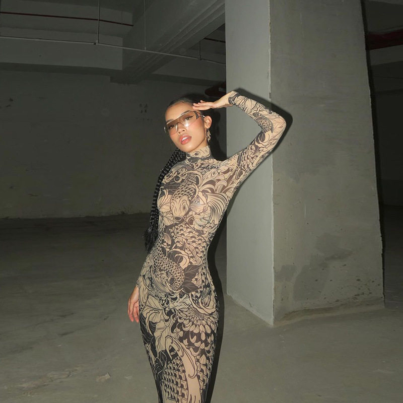 Fashionable Womens Sheer Mesh Floral Print Dress High Neck Slim Fit Trendy Style Perfect for Spring Summer Occasions