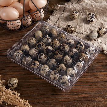 Factory Direct Sales of Multiple Models of Quail Egg Trays, Transparent Plastic Quail Egg Packaging Boxes, Plastic Disposable Egg Trays