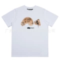 White five-pointed star decapitated bear