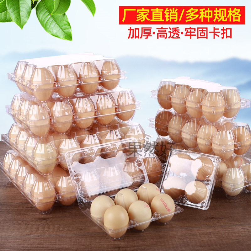 Sample Plastic Transparent Egg Tray Disposable Egg Packaging Box Gift Box Thickened