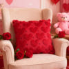 Cross-Border Amazon Valentine's Day Pillow Cover Love Three-Dimensional Plush Quilted Embroidery Sofa Bedroom Cushion Pillow Now