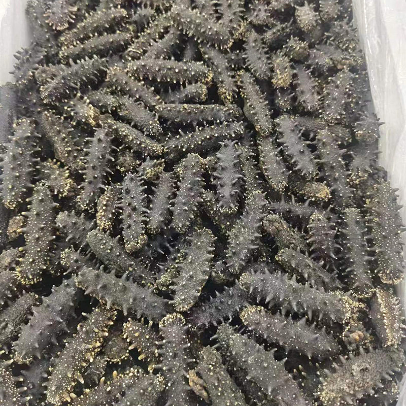 Dalian light dried sea cucumber deep sea bottom sowing high sea cucumber non-instant sea cucumber dry goods gift box sea cucumber 50g sea cucumber sea cucumber