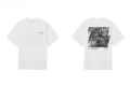 26 white