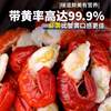 Frozen Fresh Lobster Tails, Large Fresh Live Crayfish Tails Without Ice Coating, Commercial Fresh Frozen Wholesale Fresh Aquatic Products