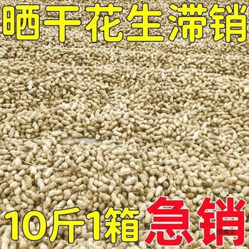 Fresh Shelled Peanuts from the Seed Year, Suitable for Autumn, Can Be 2024 Natural New Peanuts, Farm-Grown and Sun-Dried