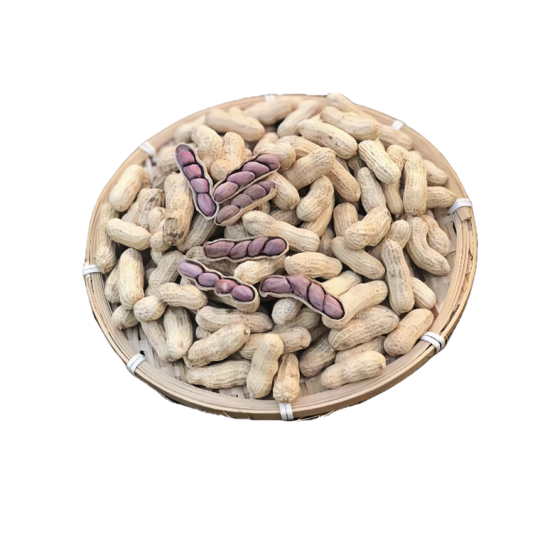 2024 New Product Longyan Roasted Peanuts Authentic Fujian Specialty Liancheng Purple Shelled Boiled Peanuts Roasted Snacks