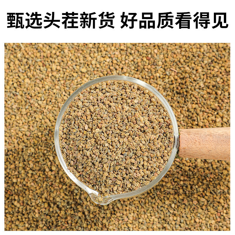 Dill Seed Spice Seasoning Collection for Sausage, Seafood, and Curry