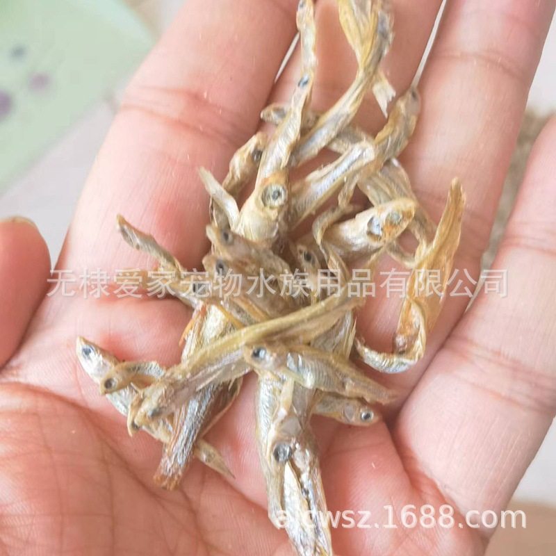 小鱼干晒干烘干乌龟巴西龟仓鼠零食饲料龟粮淡水小鱼干不咸,淘宝优惠券,粉丝福利购,淘宝优惠卷
