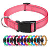 in stock Cross-border Special Pet Collar Dog Collar Reflective Cat Collar Amazon Anti-retroreflective Adjusting Lead and Release Explosion