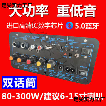 Subwoofer Built-In Bluetooth Amplifier Board High-Power Audio Motherboard 12V24V220V Universal Voltage Car Home