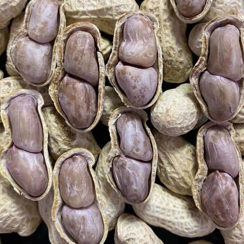 Boiled Peanuts Sun-Dried Longyan Boiled Peanuts Garlic Peanuts Five-Spice Peanuts Boiled Salted Peanuts Salty Dried