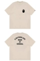 709 apricot