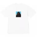 I843 white