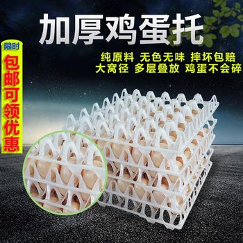 Plastic Egg Tray Thickened Egg Tray Broken Egg Tray Transport Egg Carton Egg Rack Pigeon Quail Egg Tray