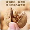 Carefully Selected Xinjiang Paper-Skinned Walnuts 500g Aksu Thin-Skinned Walnuts New Year Gift Pack Hand-Peeled Thin-Skinned Raw Walnuts