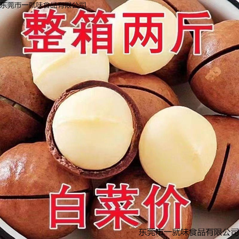 New Arrival Macadamia Nut Cream Flavored Bagged Nuts Roasted Seeds and Nuts New Year's Dried Fruit