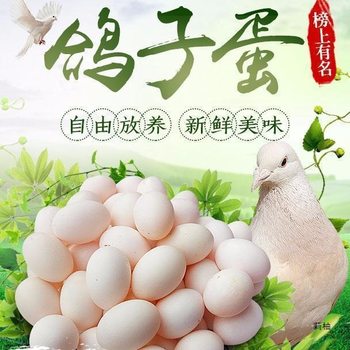 Preferred Pigeon Eggs, Fresh Newborn Eggs, Farm Grains, Free-Range Eggs, Nutritious Gifts for Pregnant Women and Babies, Free Shipping