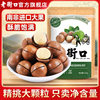 Macadamia Nuts 250Gx2 Bags of Nuts Snacks Snacks Roasted Seeds and Dried Fruits New Year Goods
